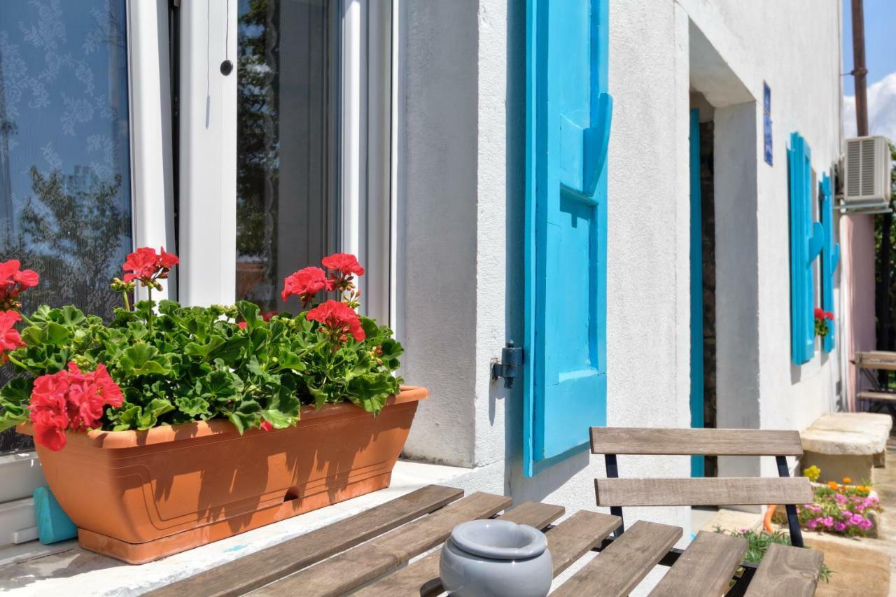 Apartmani Anna Umag Exterior foto